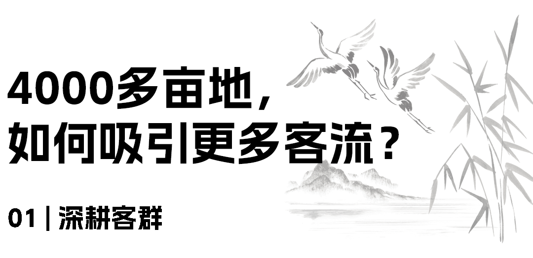 640 (10).png 640 (10).png