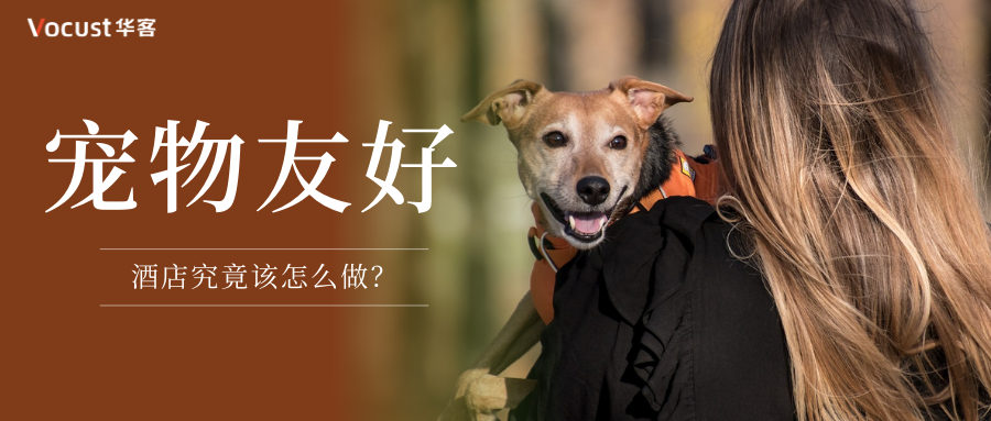 宠物友好如何为酒店实现创收?