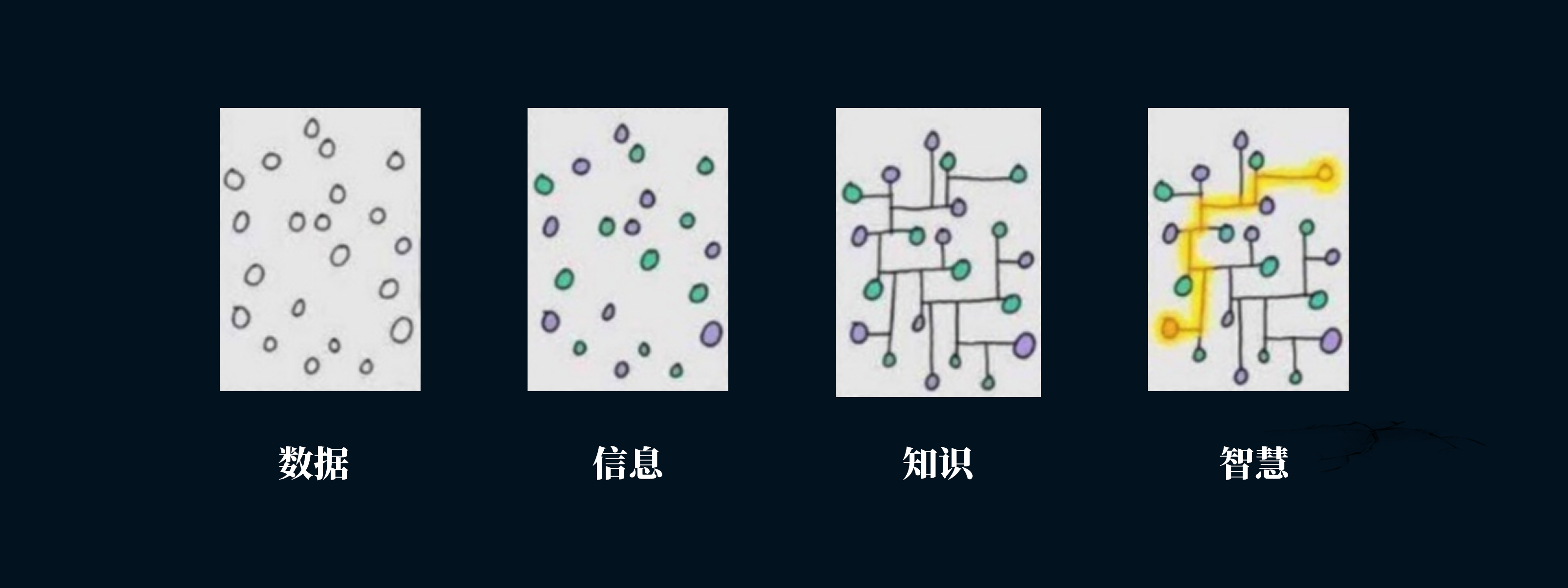 56c2c32f389148d40d153bec10fec8b3.png