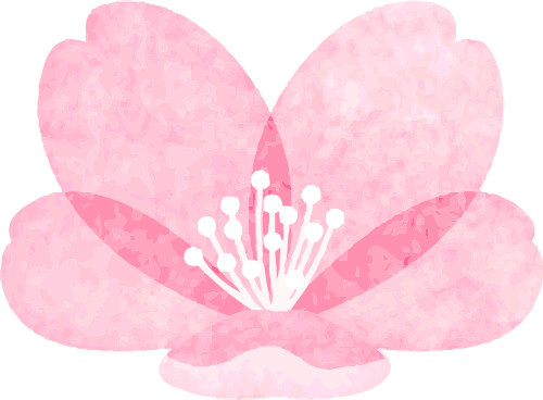 004.png 图片